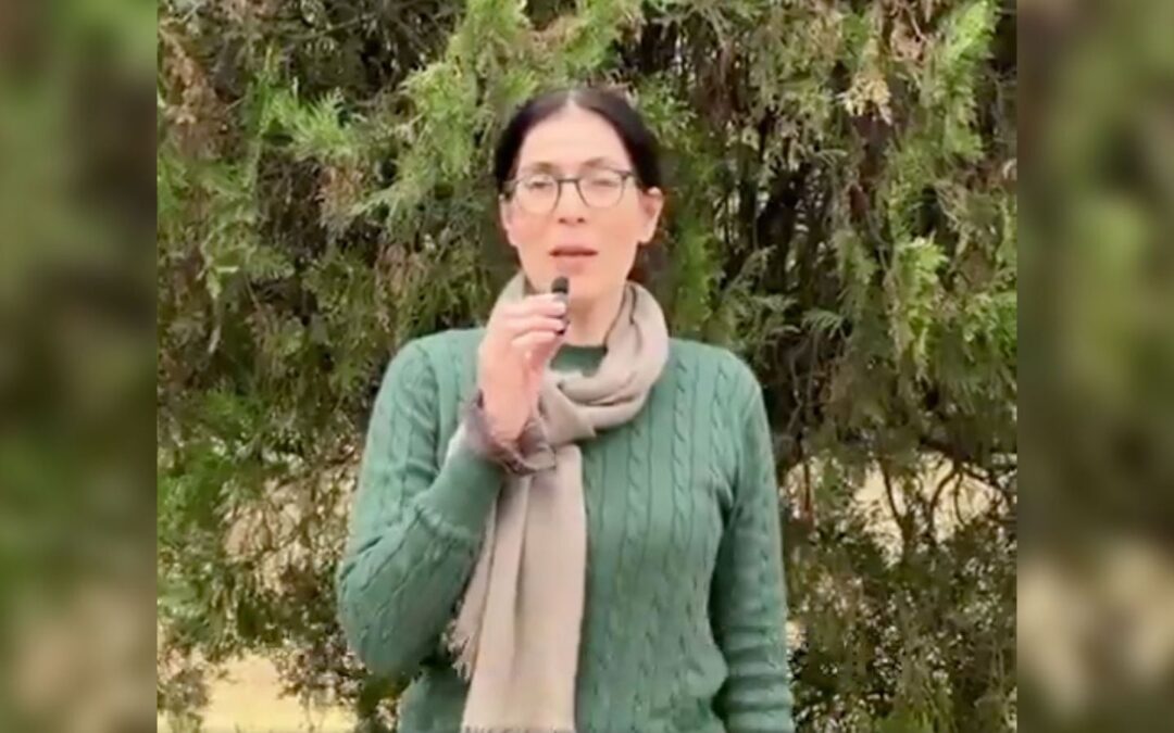 Hija de Sánchez Cordero se adelanta con campaña hacia la elección judicial 2025