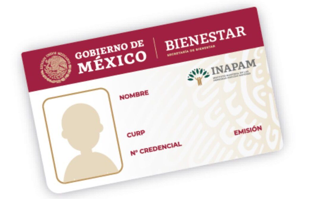 Cómo tramitar la tarjeta del INAPAM: Estos son los requisitos y la ubicación de los módulos