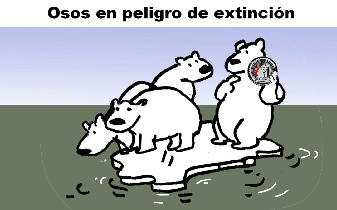 Osos en peligro de extinción