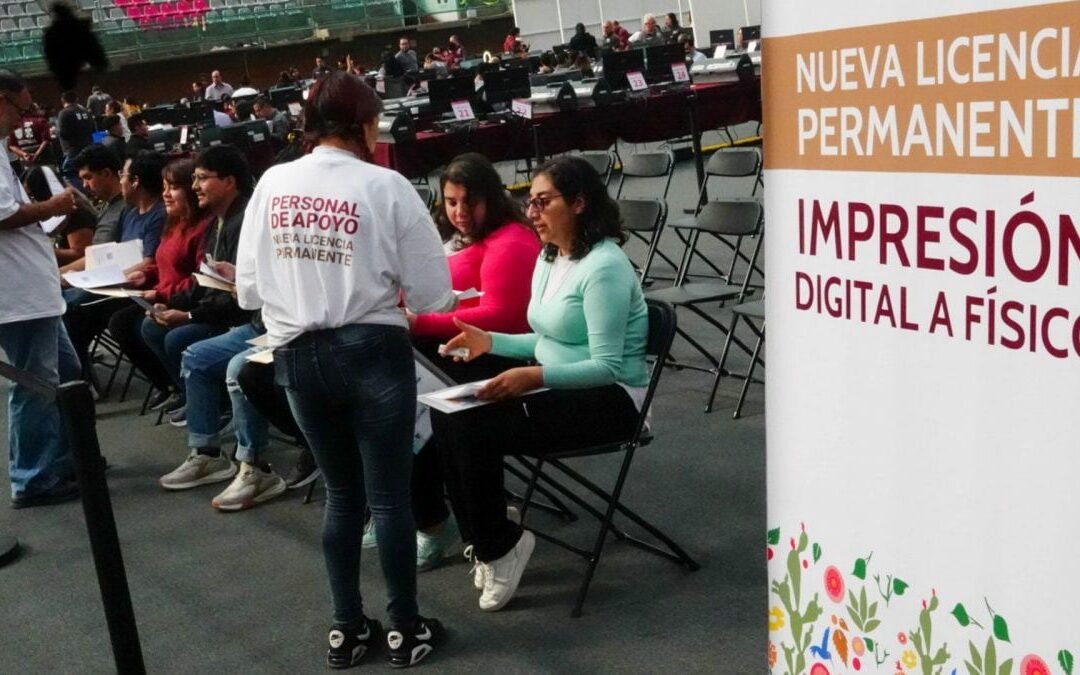Licencia de conducir: Todo lo que debes saber para tramitarla en 2025