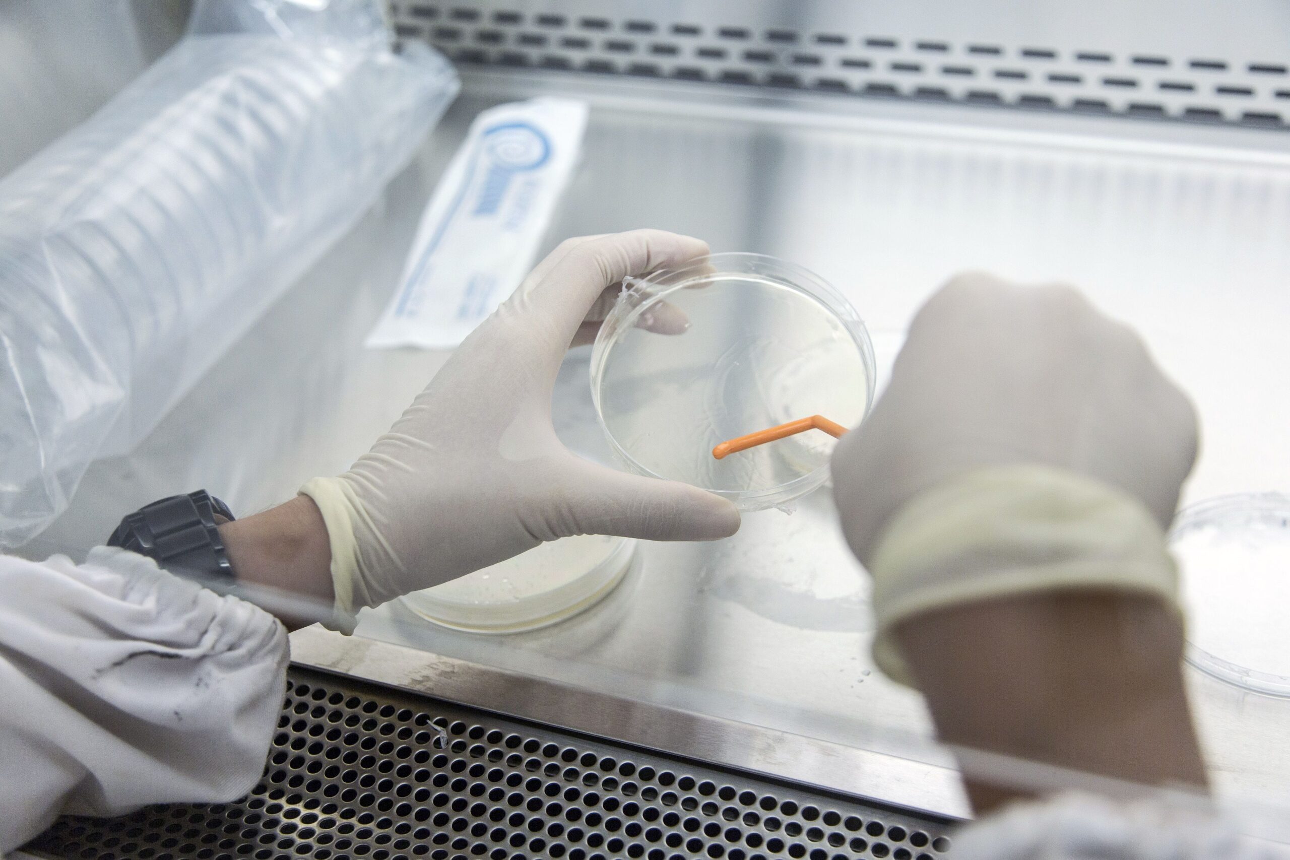 ¿Qué sabemos sobre la misteriosa ‘enfermedad X’ que investigan médicos en el Congo?