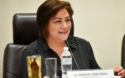 Consejeros del INE visitarán este martes Palacio Nacional para reunirse con AMLO