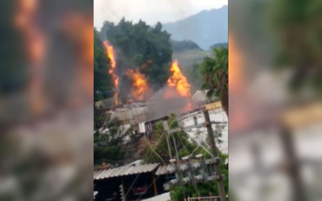 Hasta los ‘caballitos’ volaron: Mueren 4 personas en explosión en tequilera José Cuervo