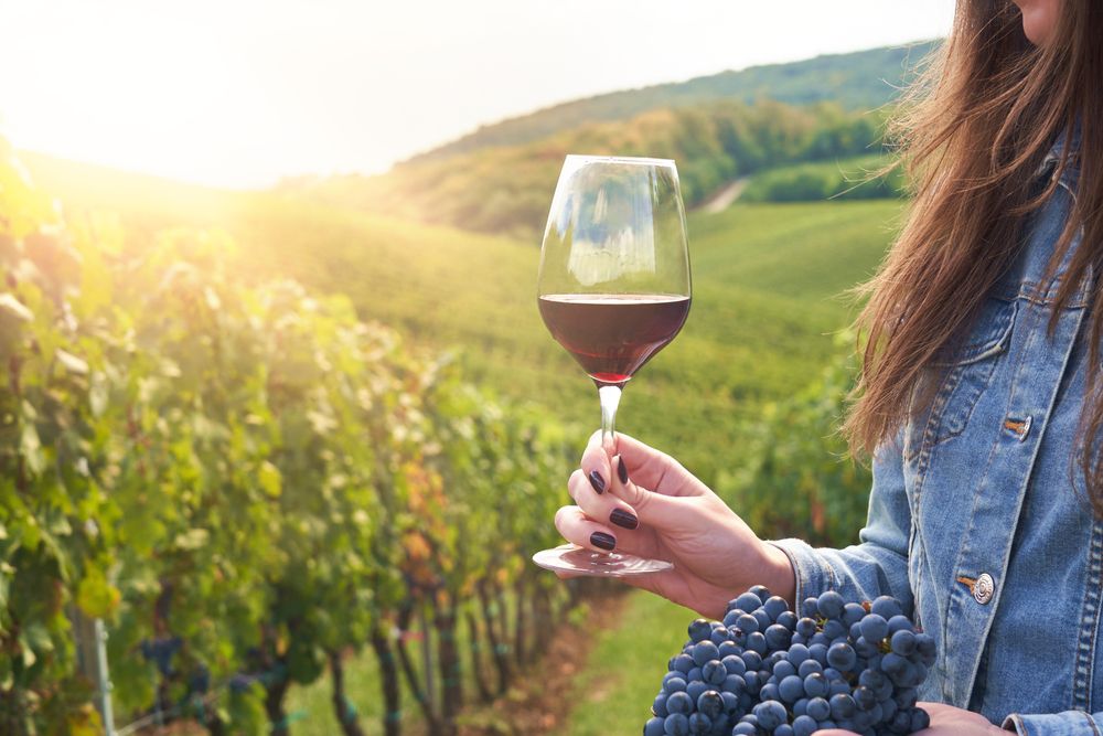Crecen productores de vino en NL
