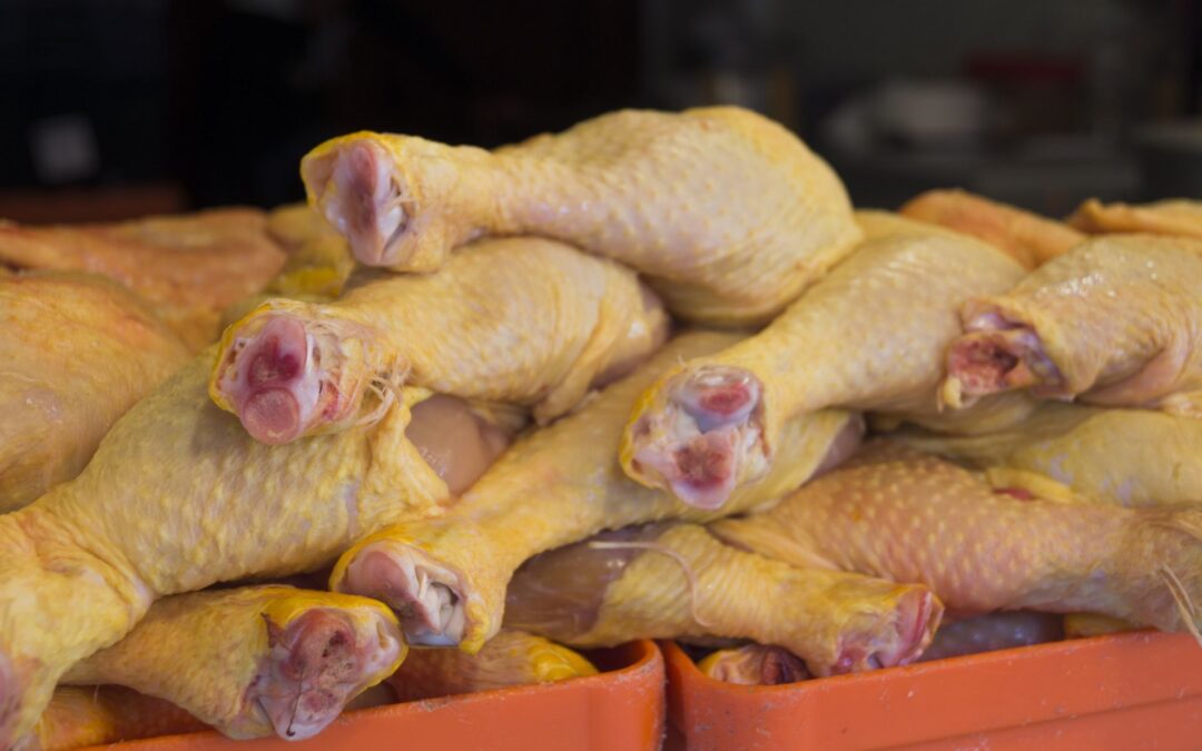 60 mil pollos en riesgo para México y EU: Reportan casos de influenza aviar en granja de NL