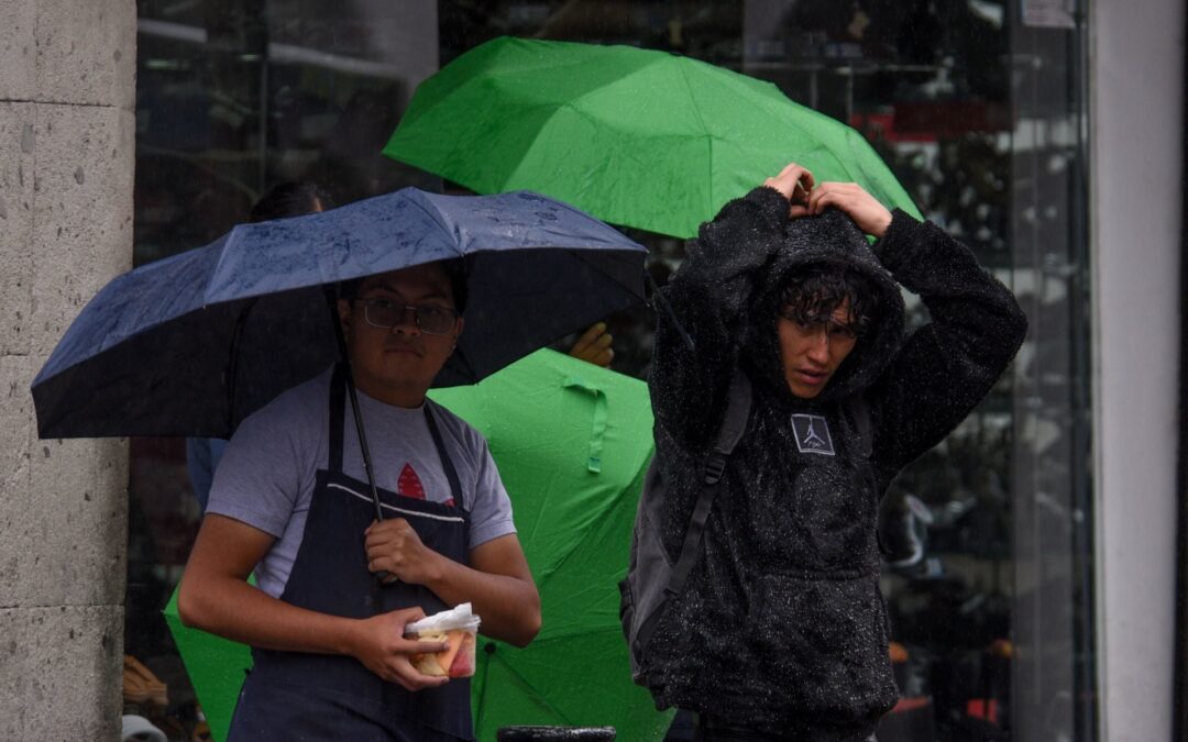 Onda tropical número 14 traerá fuertes lluvias en estas entidades para el fin de semana