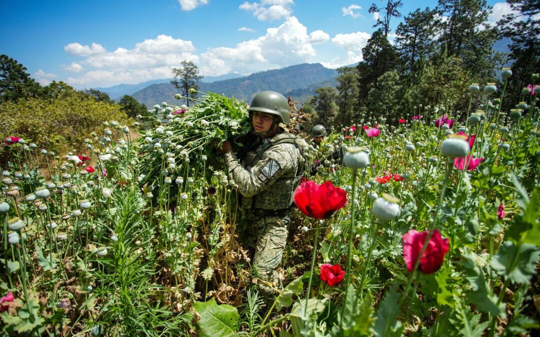 México se podría sumar a Colombia para pedir a la ONU despenalizar la cocaína