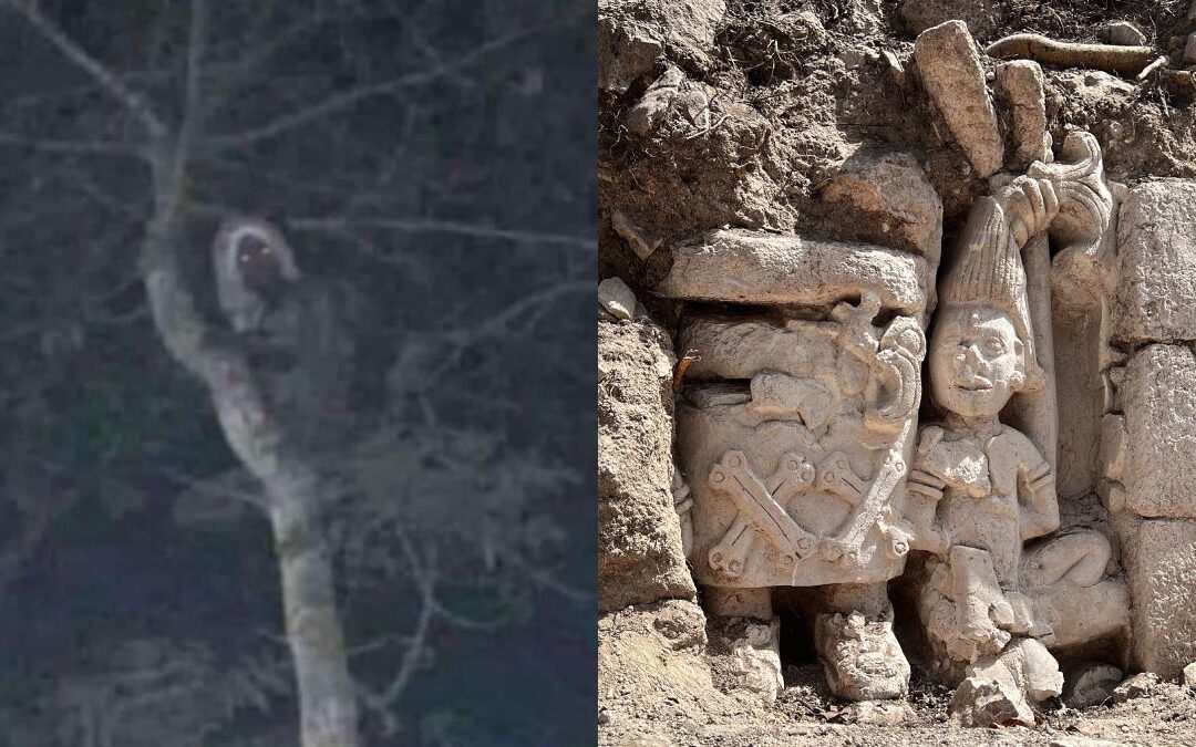 ¿Aluxes en el Tren Maya? AMLO comparte foto de supuesta criatura mítica en la obra