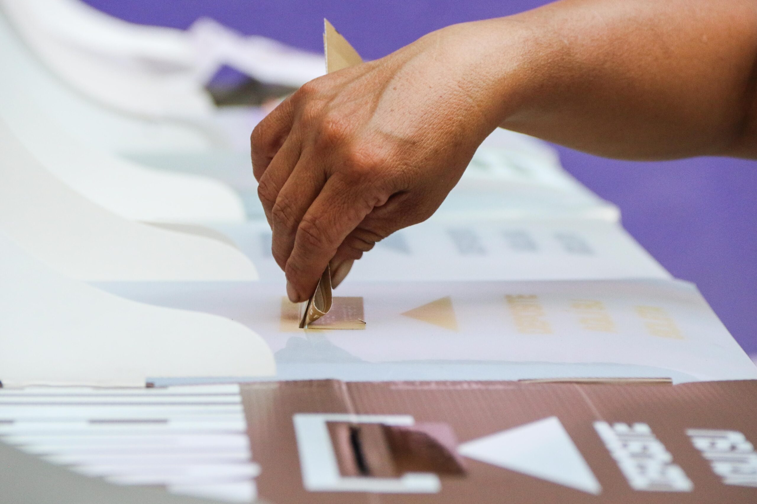 Elección judicial: ¿qué podemos hacer?