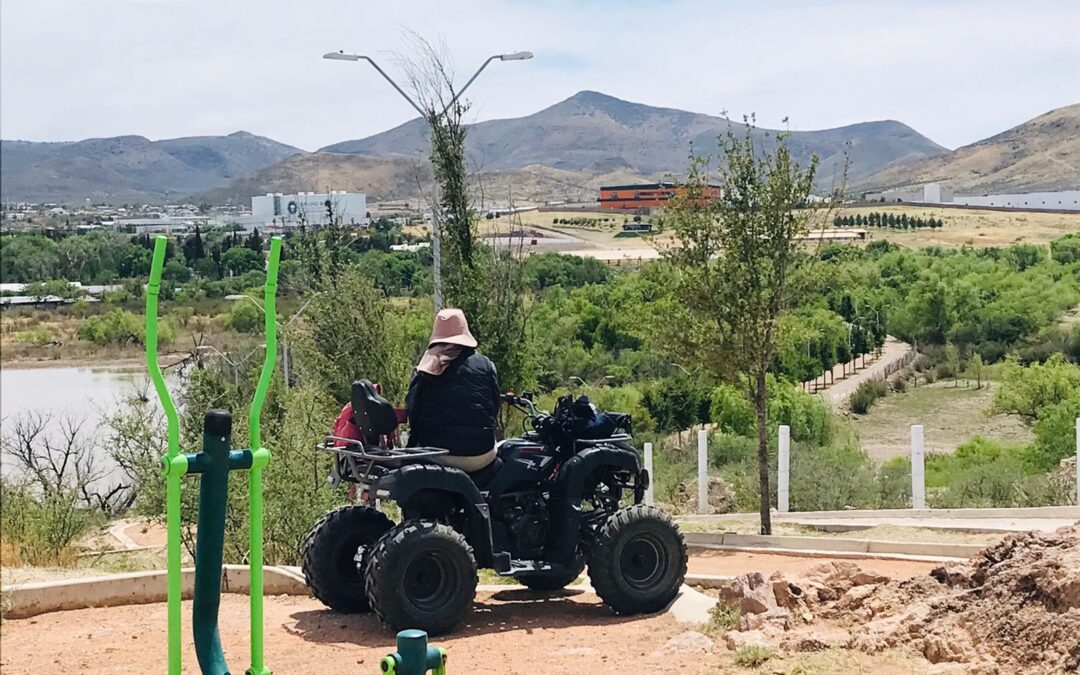 Cientos de peces mueren en río de Chihuahua: señalan aguas residuales de Bafar y empresas