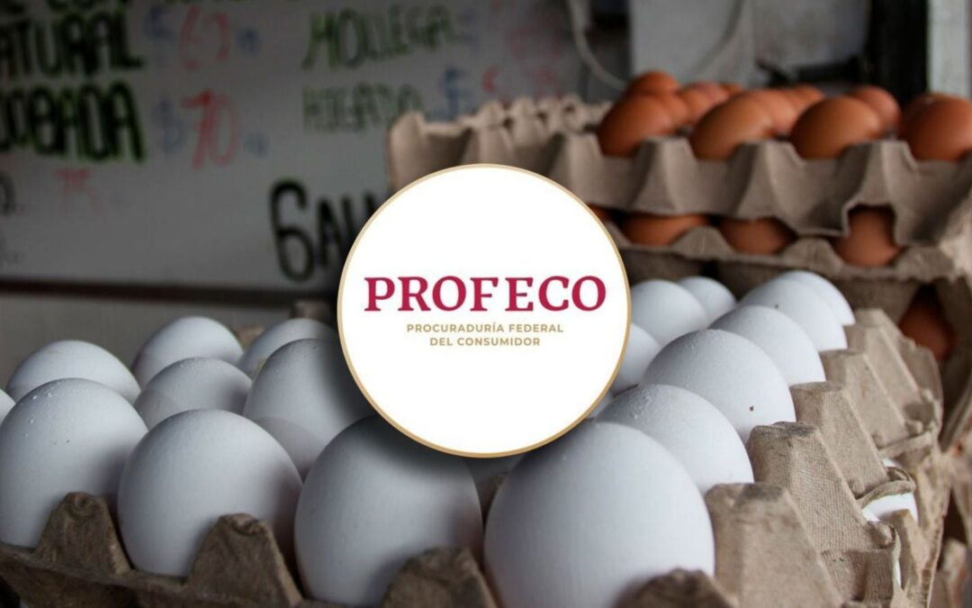 ¿El precio del huevo amargó tu desayuno? Profeco te dice cuánto cuesta el kilo y cuál es más barato