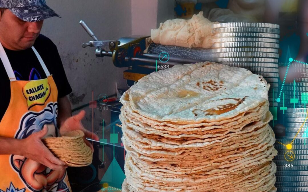 ¿Sequía subirá precio de la tortilla en México? Tortilleros resuelven la duda