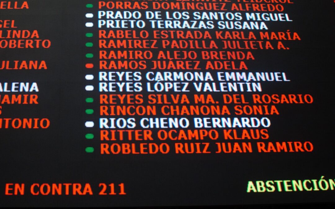 Reforma electoral: Adela Ramos, diputada de Morena que votó en contra, denuncia persecución