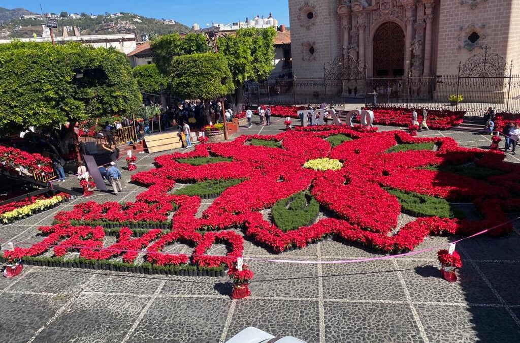 Taxco tiene la Flor de Nochebuena más grande del mundo