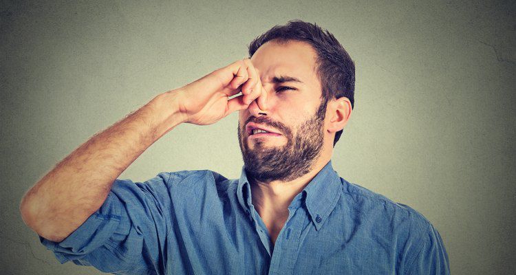 ¿Cuál es la ciencia detrás de las flatulencias? La UNAM lo explica