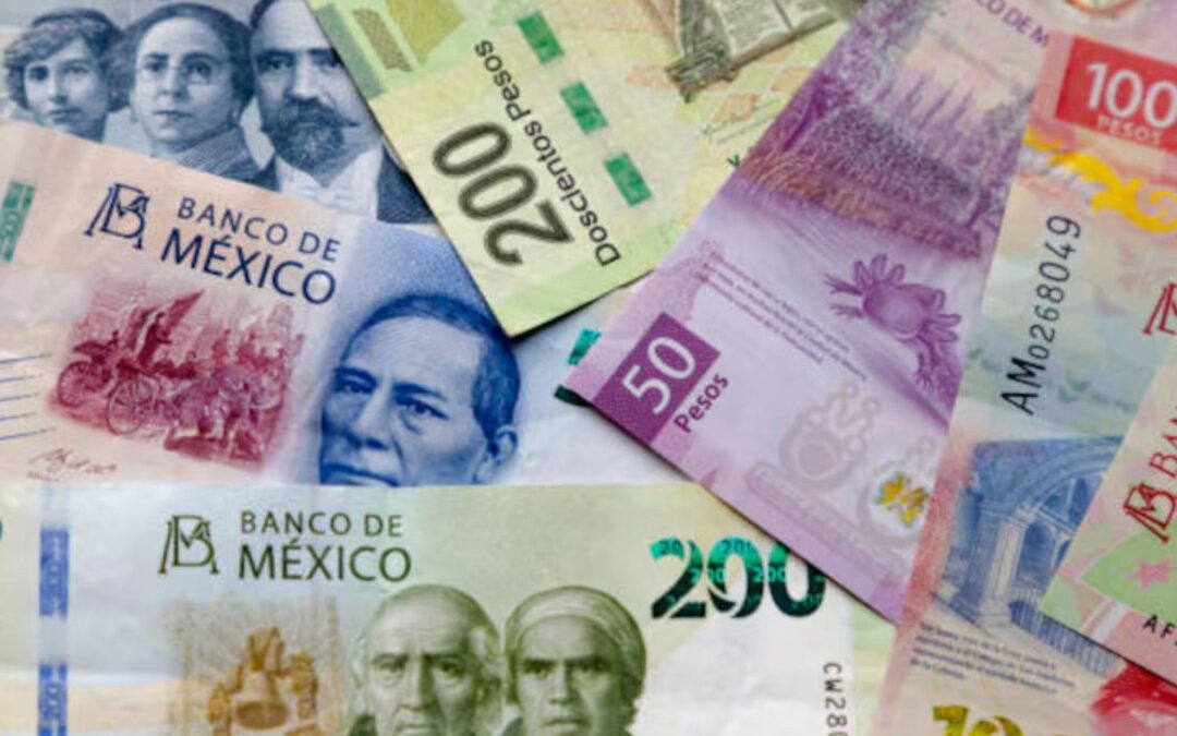 Necesario presupuesto alternativo