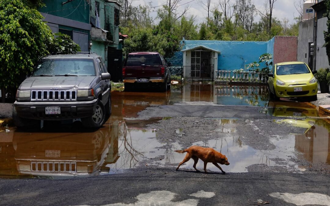 ¿En qué estados habrá lluvias y granizo este 3 de julio?