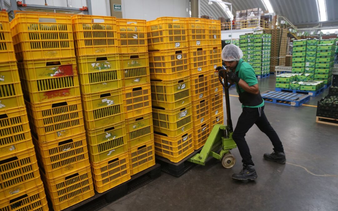 Descartan pérdidas al sector comercio por “Alberto”