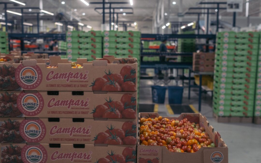 LatAm liderará desaceleración de inflación en 2023; precios al productor ‘caen como piedra’