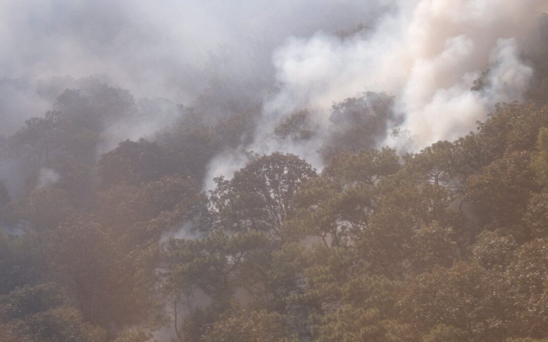 ¿Eres tú CDMX? Guadalajara declara emergencia atmosférica por incendio forestal