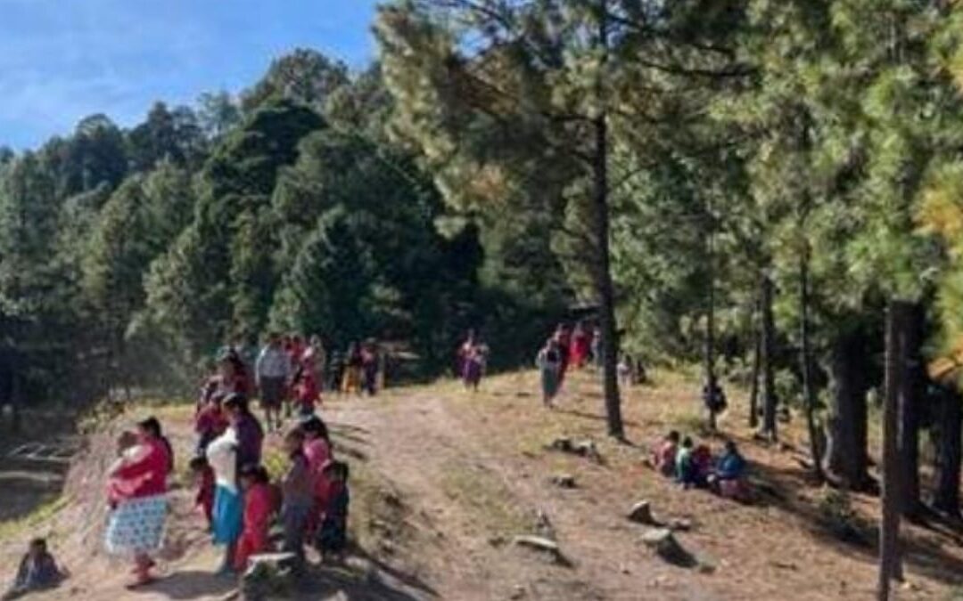 Desplazamiento forzado en Chihuahua: 200 familias huyen de la Sierra Tarahumara por violencia