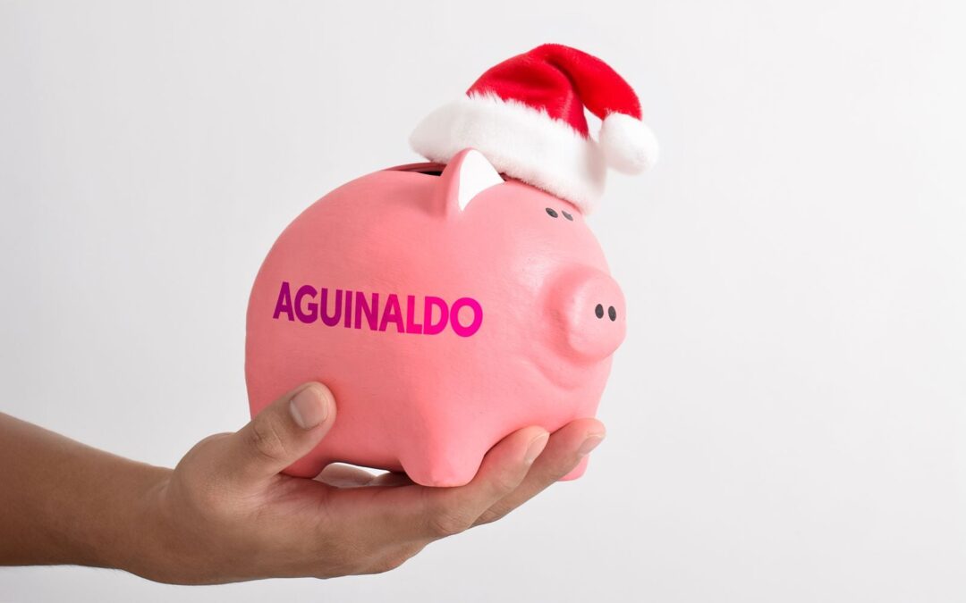¿Aún tienes parte del aguinaldo? Prepárate para la cuesta de enero con ayuda de la Profeco