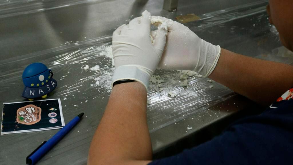 Conocen la paleobiología en campamento de verano de FCB