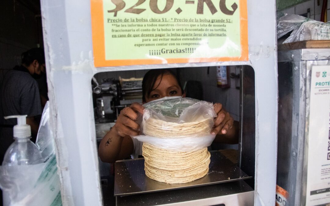 Precio del kilo de tortilla es la principal preocupación de AMLO