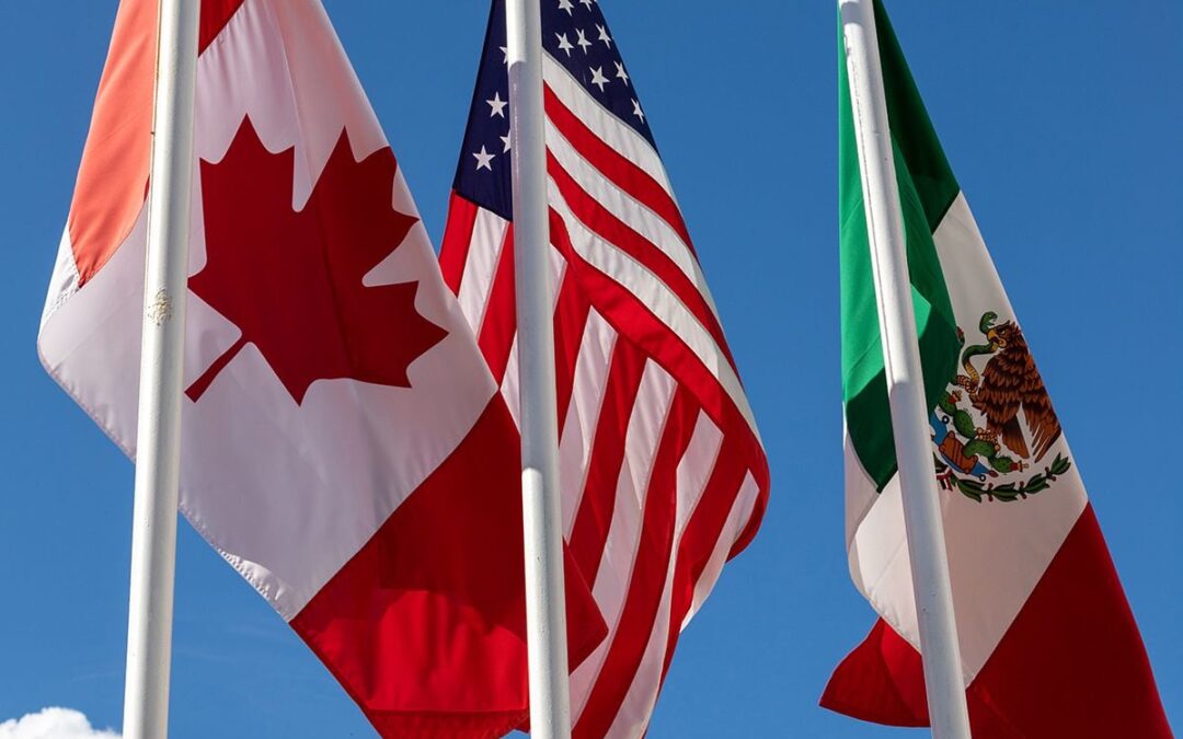EU gana panel sobre maíz transgénico: Concluyen que medida de México no tiene sustento