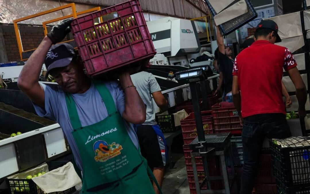 Pobreza laboral disminuye en tercer trimestre de 2024, pero crece en el ámbito rural: Coneval