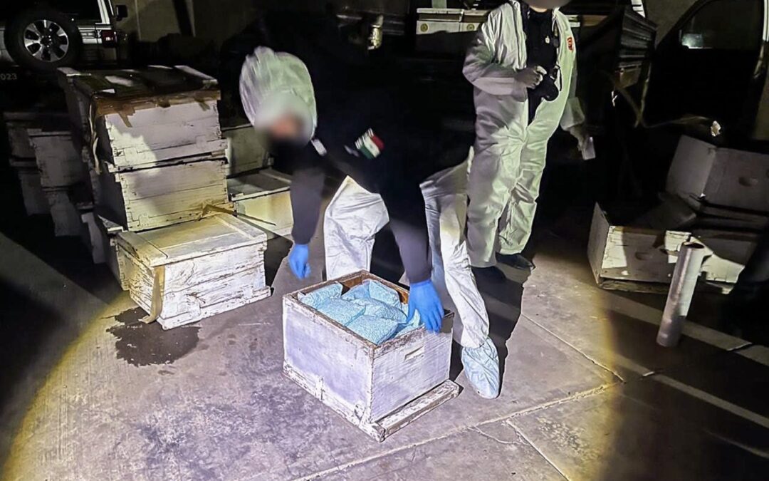 Mike Vigil, exdirector de la DEA, dice que las ‘mulas’ del fentanilo son estadounideneses y no mexicanos