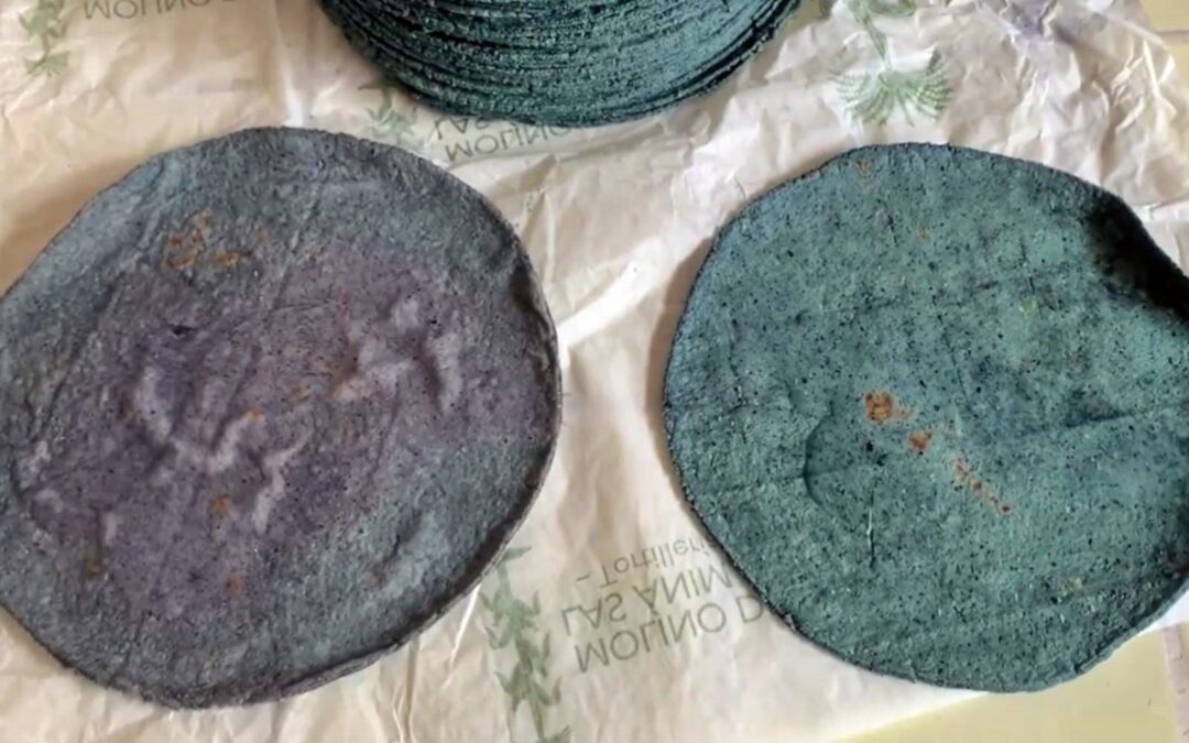 Tortilla azules: ¿Cómo saber si son ‘piratas’ o de maíz verdadero?