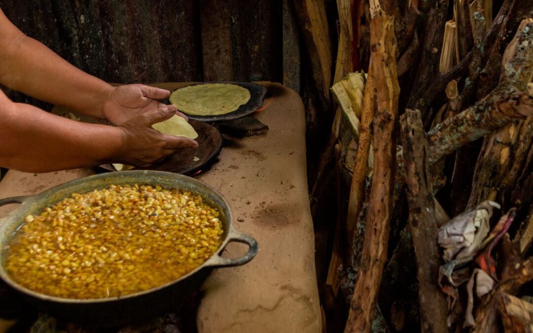 Nixtamalización, el proceso prehispánico que nos permite asimilar el maíz