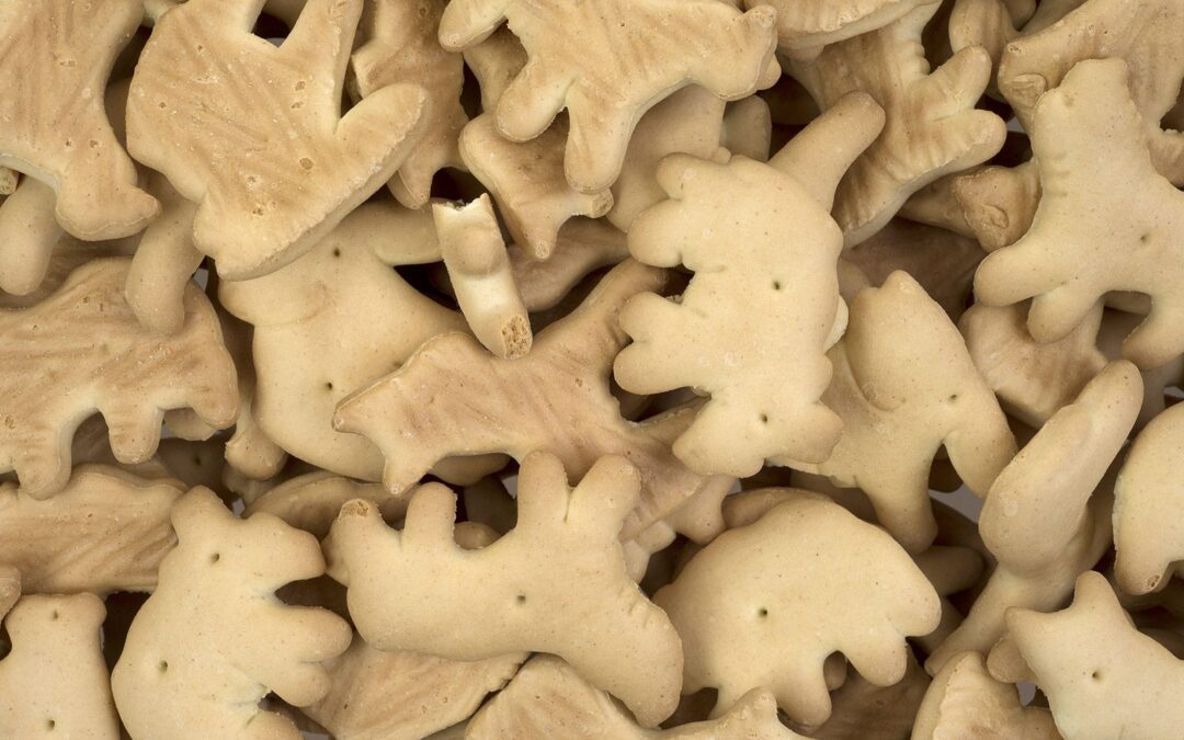 Galletas de animalitos: ¿Cómo se volvieron populares gracias a un circo?