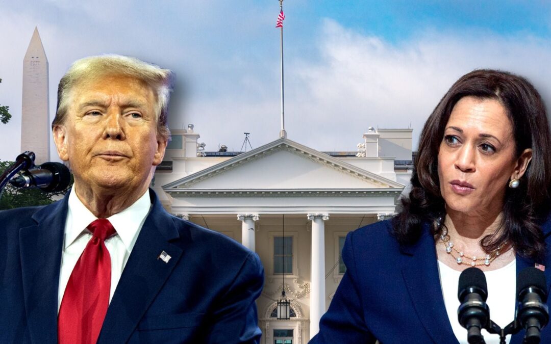 ¿Kamala Harris debería ‘jugar la carta’ de la captura del ‘Mayo’ para completar la remontada vs. Trump?