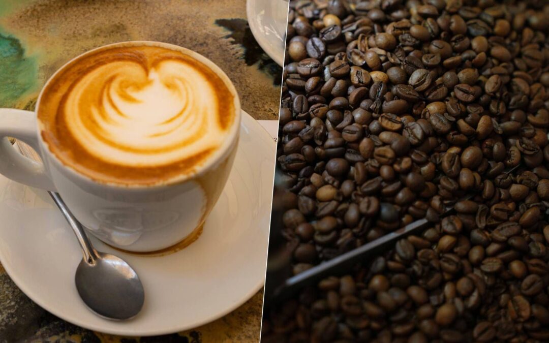 ¿Nos quedaremos sin café? Precios ‘se disparan’ a su nivel más alto desde 1997 por sequías