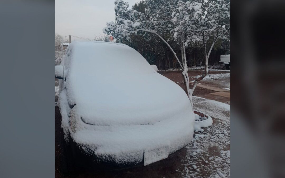 Nevada en Sonora: ¿Qué municipios suspenden las clases por bajas temperaturas?