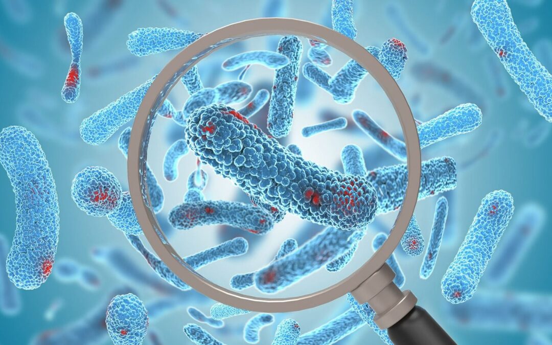 Shock tóxico estreptocócico: ¿Cuáles son los síntomas de la ‘bacteria carnívora’ que mata en 48 horas?