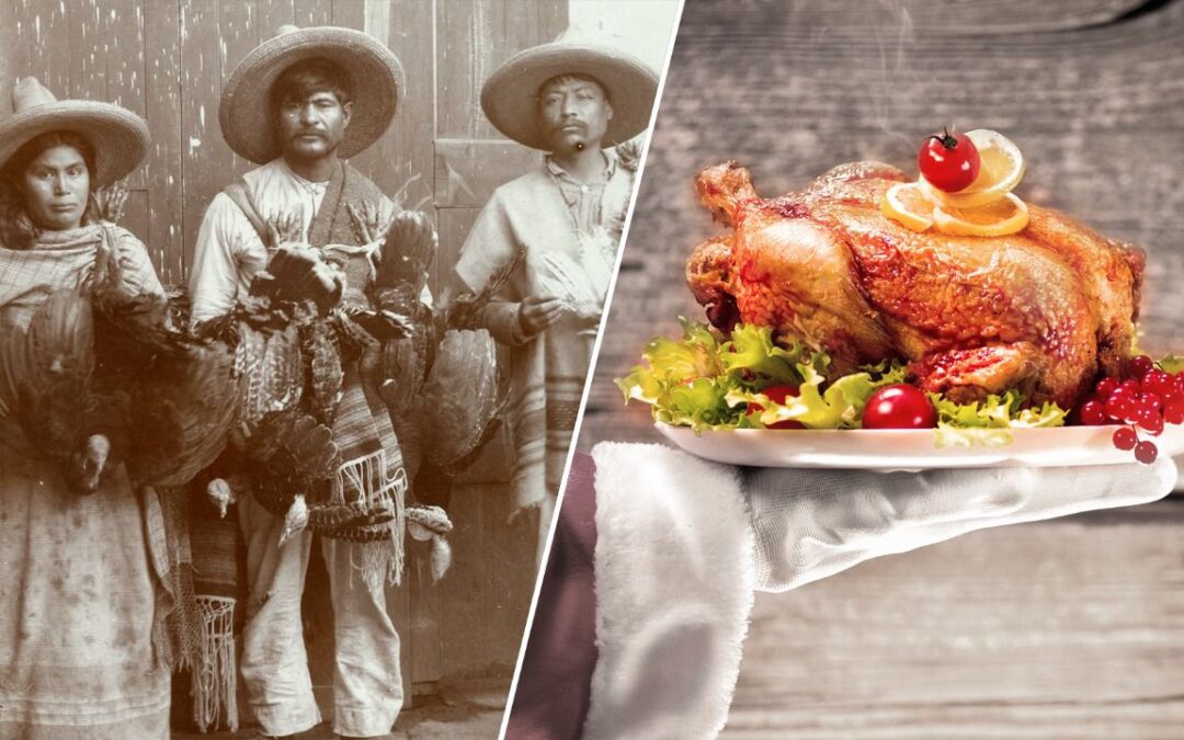 ¿Por qué cenamos pavo en Navidad? Así ‘conquistaron’ el mundo los guajolotes