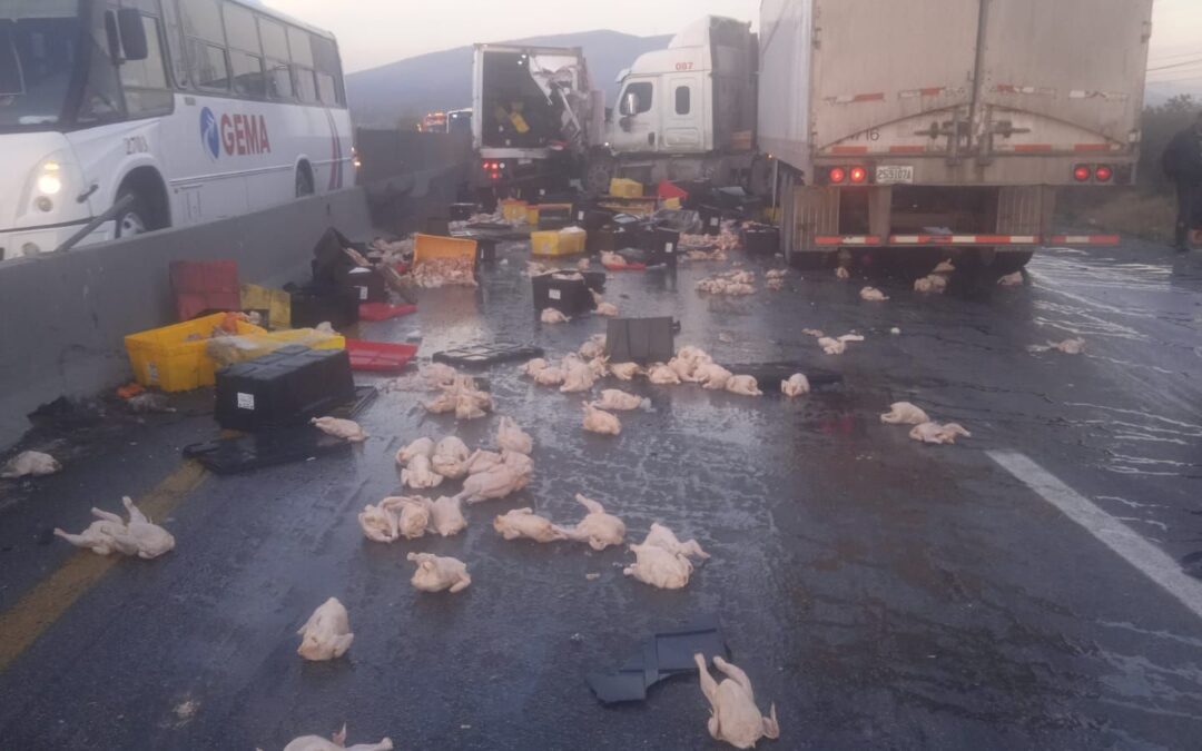 Tráiler con pollos congelados se vuelca en Nuevo León