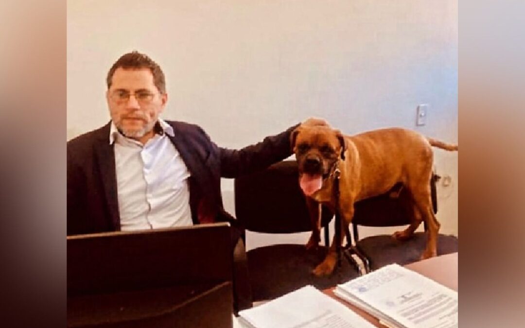 Testigo muy perrón: ¿Cuál fue el papel de ‘El Chato’ en una audiencia penal?