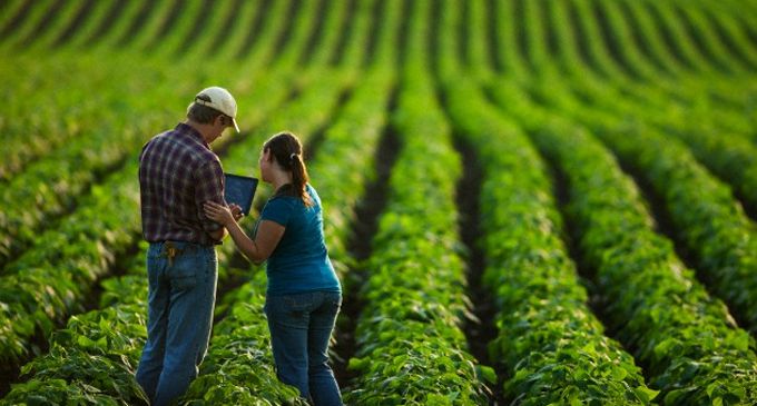 Impulsarán apoyos a Pymes agroalimentarias
