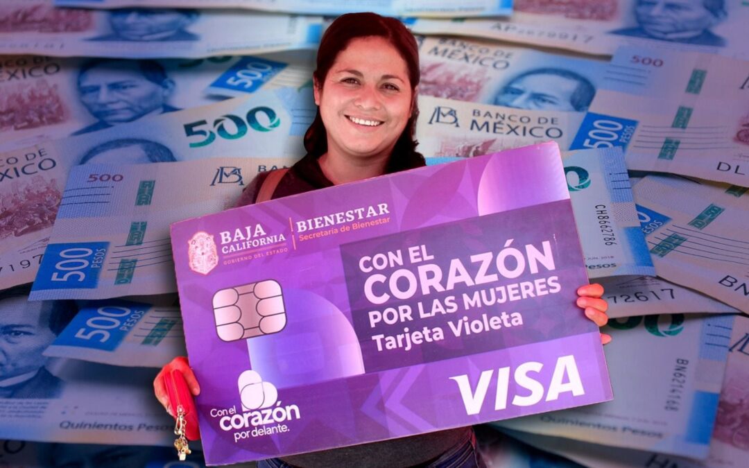 Tarjeta Violeta del Bienestar 2024: ¿Quiénes pueden recibir el apoyo de 2 mil 600 pesos?