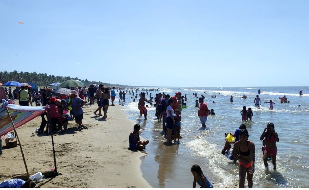 Semana Santa 2023: 24 personas fueron víctimas de las medusas en playas de Tabasco
