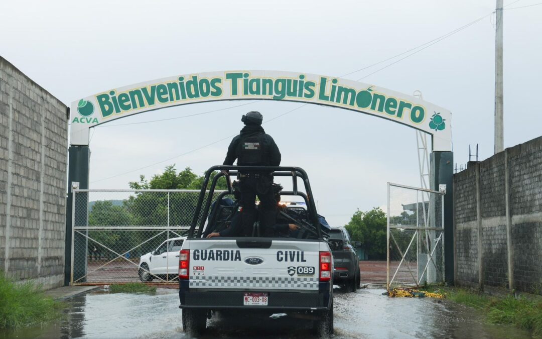 Extorsiones a productores de limón: Fuerzas de seguridad realizan operativo en Michoacán