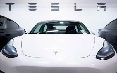Pondrá Tesla la primera piedra este año: Economía