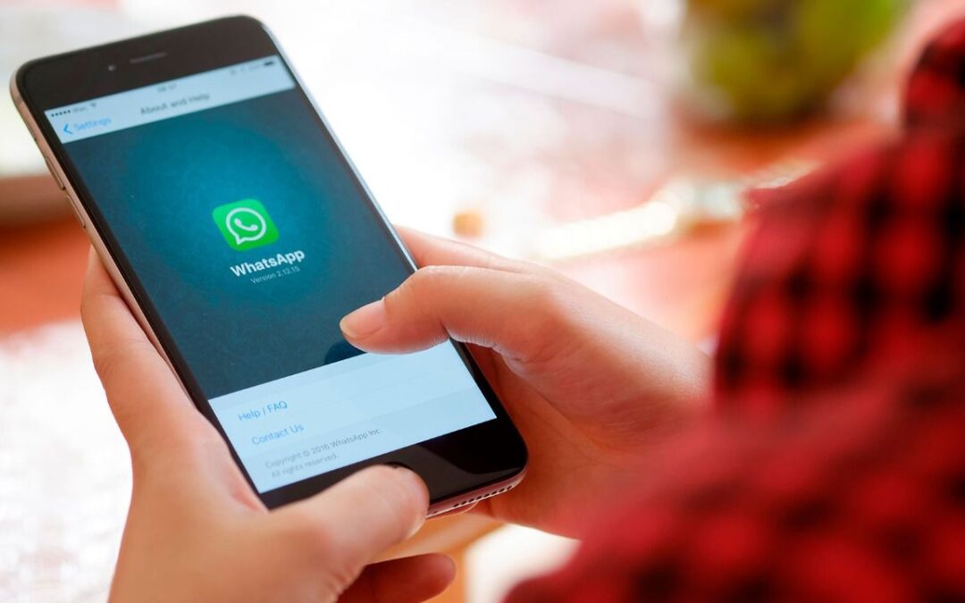 ‘Modo Halloween activado’: Así puedes cambiar el icono y el color de tu WhatsApp