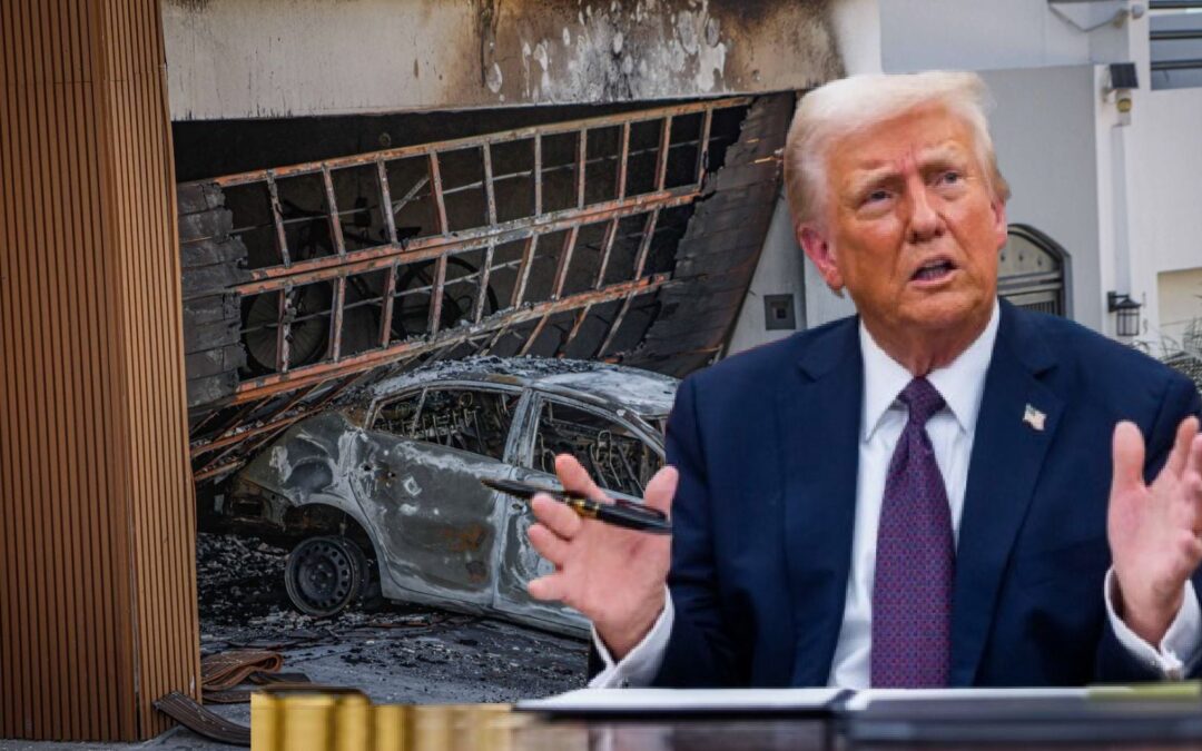 Donald Trump declara a los cárteles como terroristas: ¿Qué implica esta decisión?