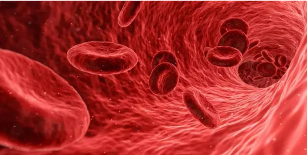 Con el MAL en la sangre: ¿Qué sabemos del nuevo tipo sanguíneo?