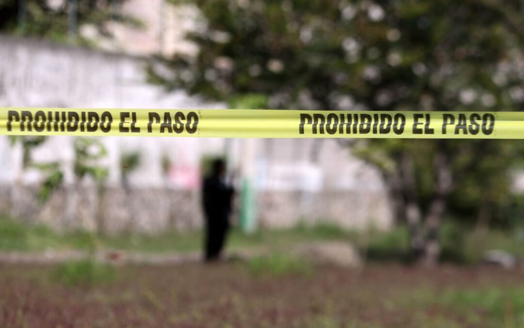 Homicidios dolosos en México registran baja en agosto 2022: Seguridad